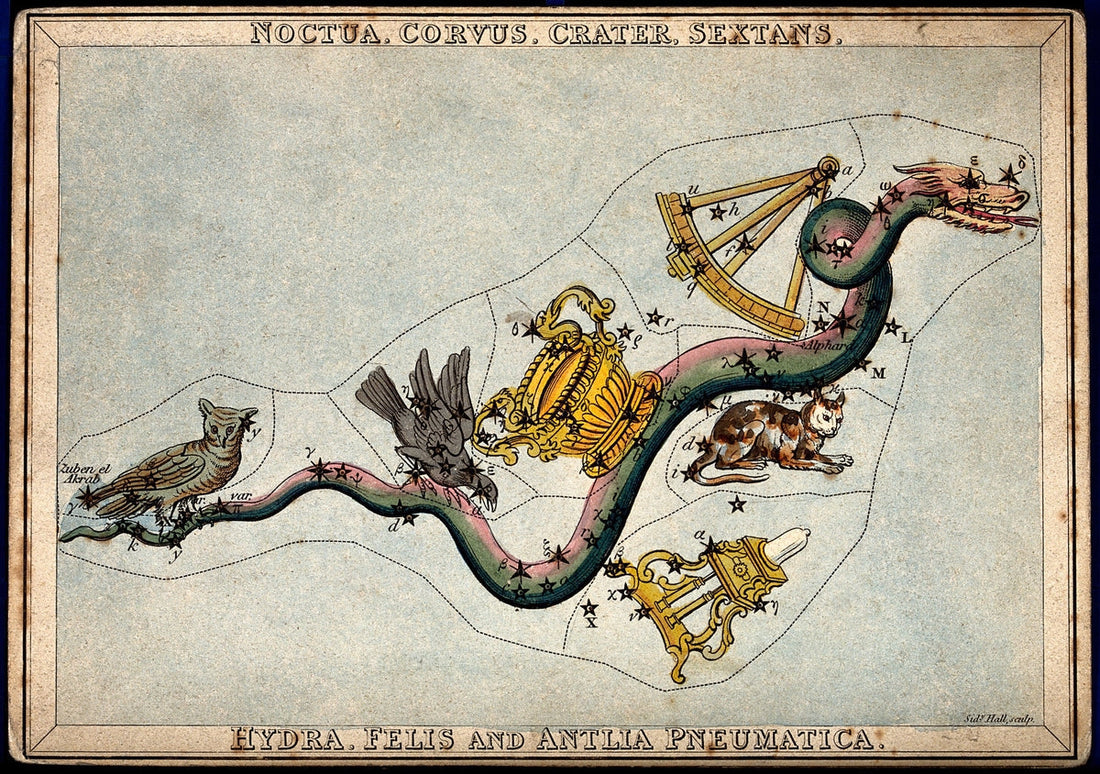 A Brief History on Cartography & Tips to Spot a Forgery